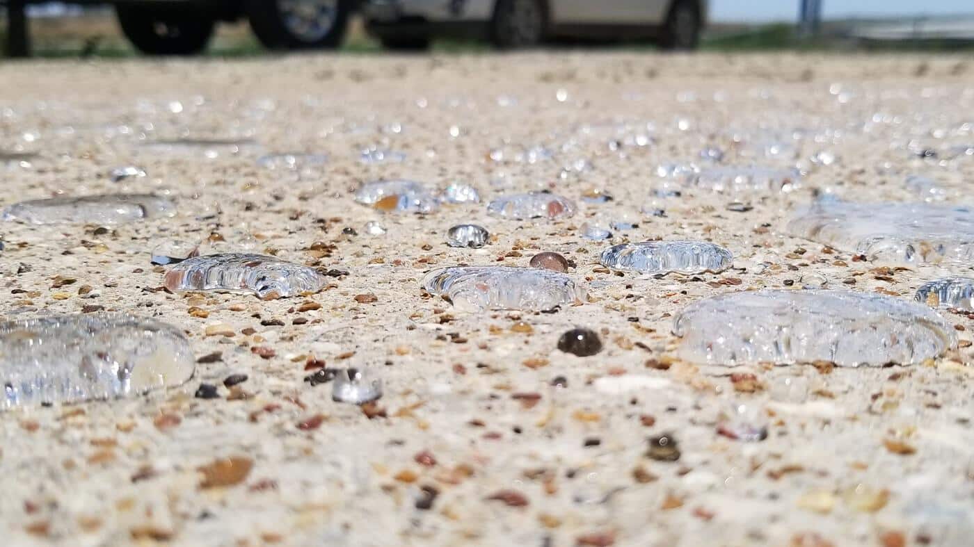 Water beading up on freshly sealed concrete driveway in Haslet, TX